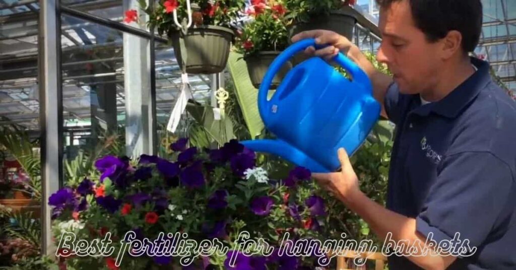 best fertilizer for hanging baskets
