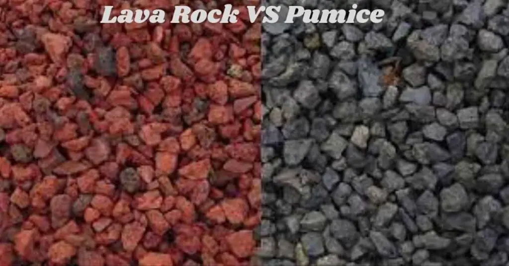 pumice vs lava rock