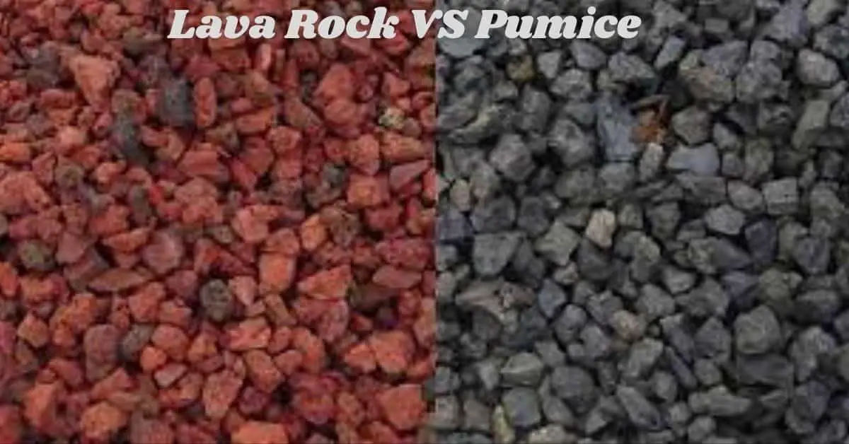 Pumice Vs Lava Rock What To Pick For Your Gardening Needs