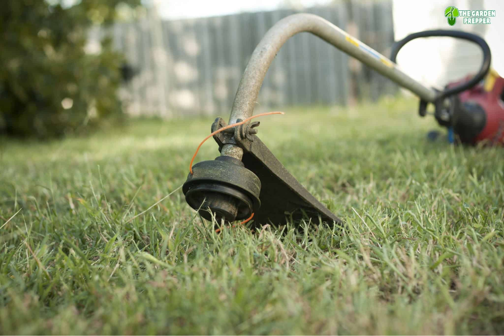 6 Ways to Bypass Primer Bulb on Weedeater (What to Do)