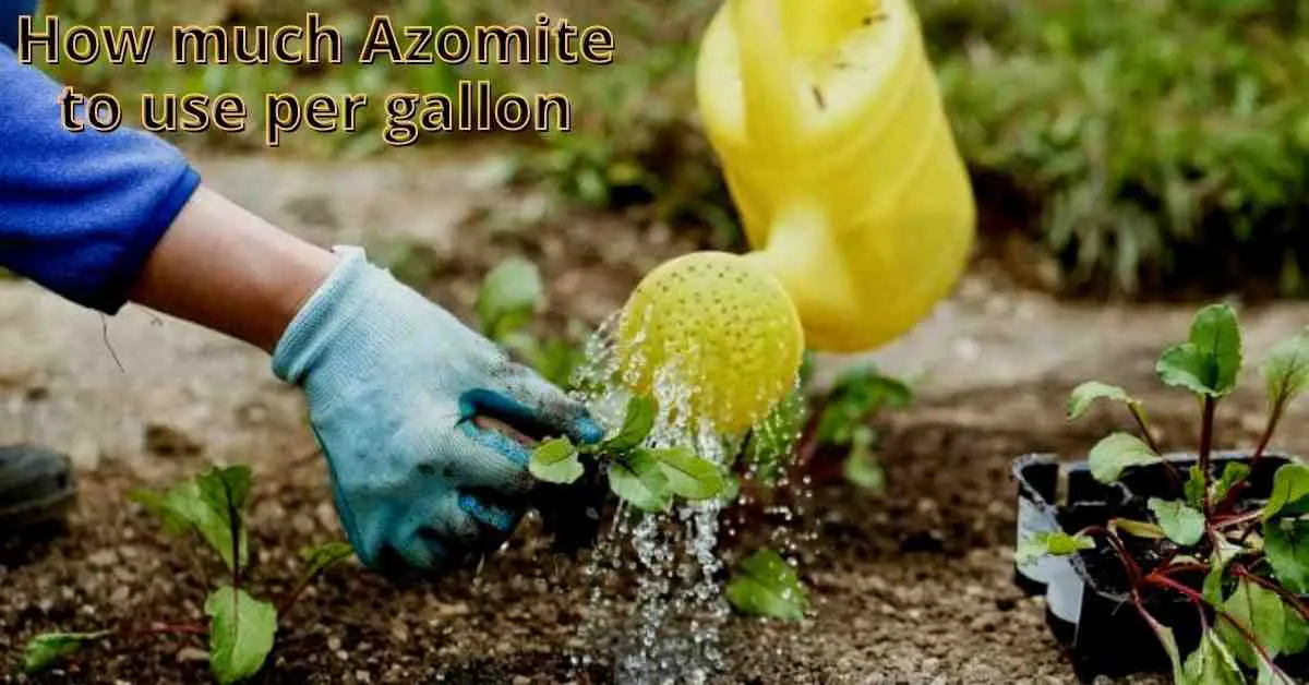 how much azomite to use per gallon