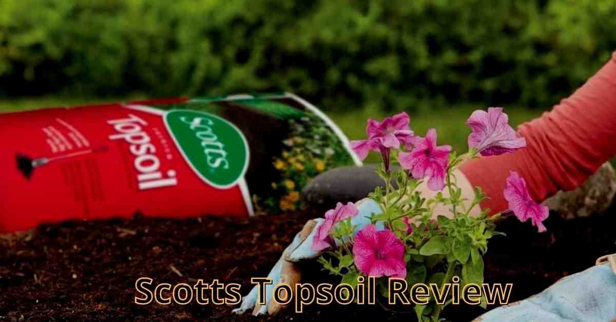 scotts topsoil review