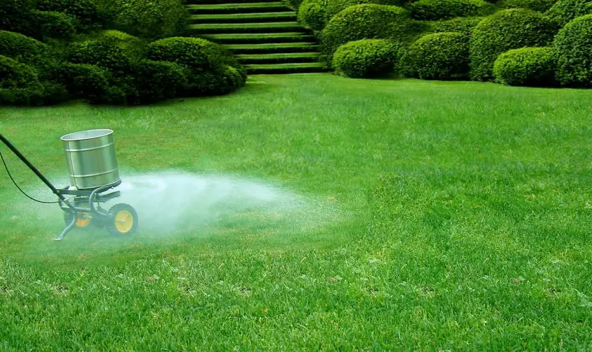 How To Tell If Your Lawn Needs Lime: Best Helpful Tips