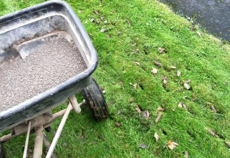 How To Tell If Your Lawn Needs Lime Best Helpful Tips