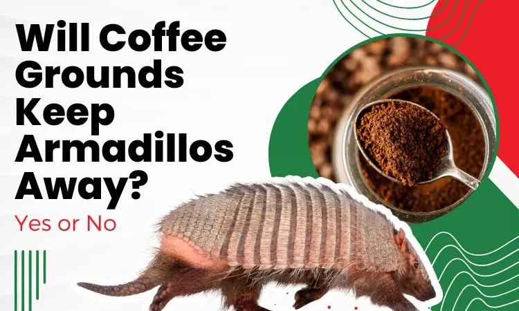 will coffee grounds keep armadillos away