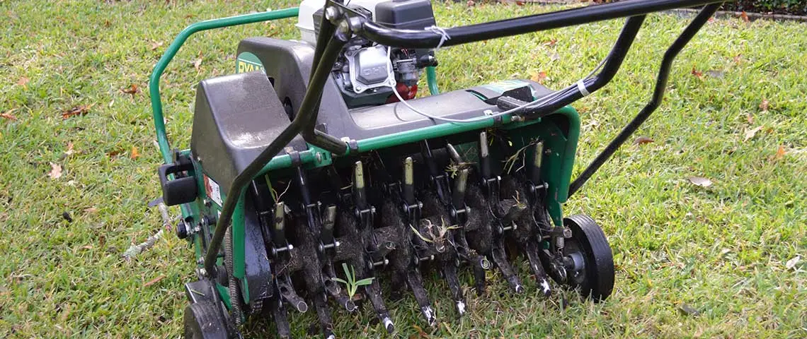 fertilize lawn before or after aeration